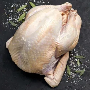 Turkey catalogue photograph