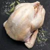 Turkey catalogue photograph